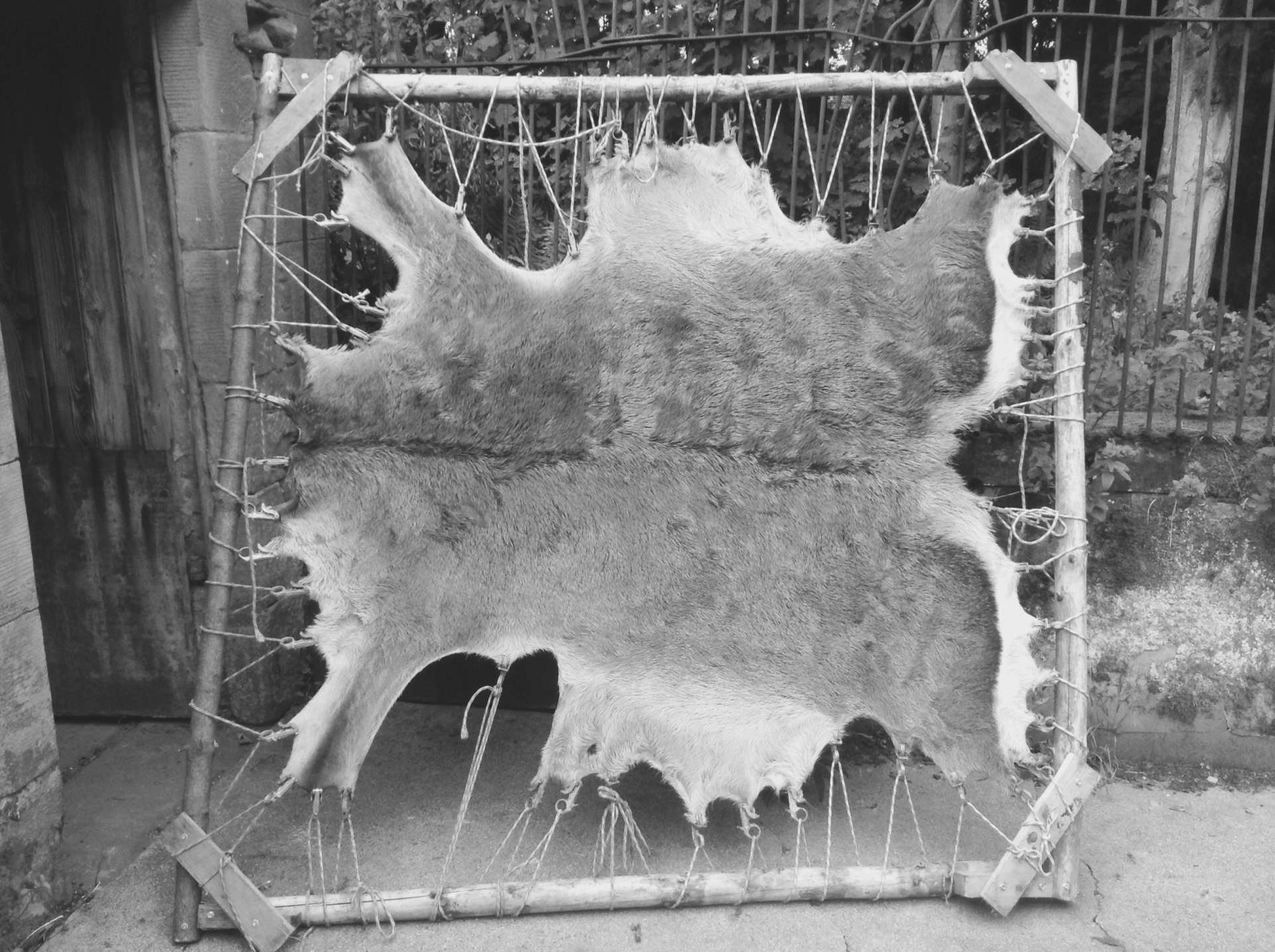 Woodland Tannery Deer Hide Rug Wall Hanging