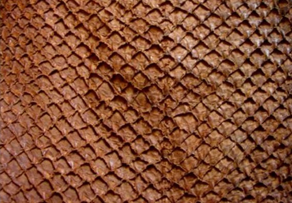 Fish leather